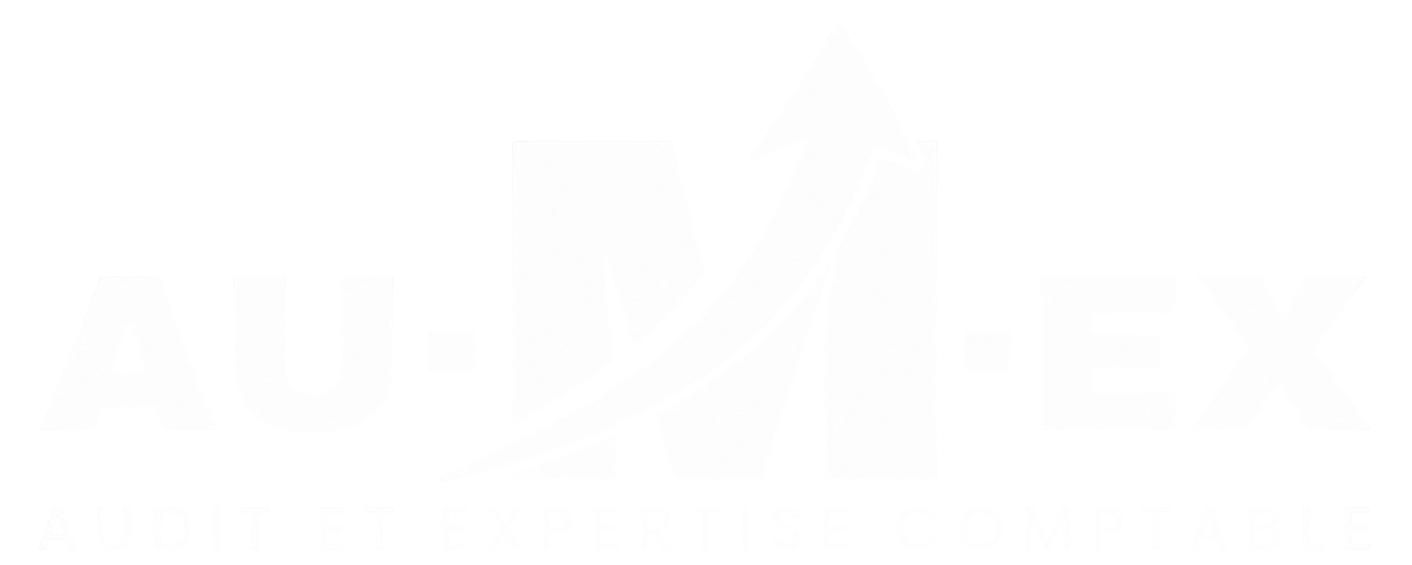 Nom de la société