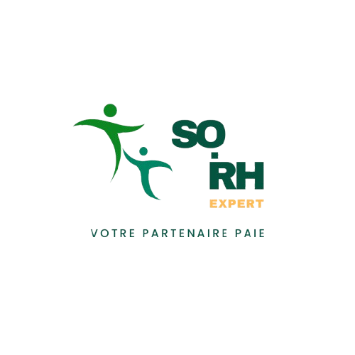 Logo SO RH EXPERT
